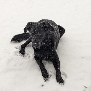 Meet your Posher, Carla